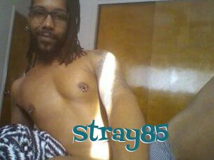 Stray85