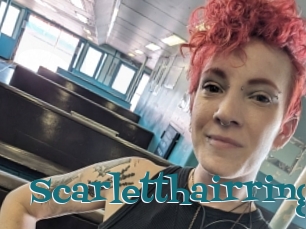 Scarletthairring