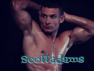 Scottadams