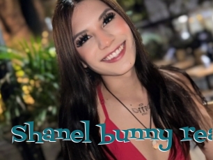 Shanel_bunny_real