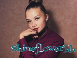 Shineflowerbb