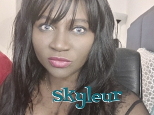 Skyleur
