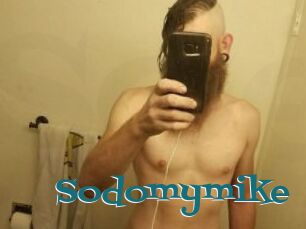 Sodomymike