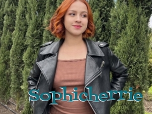 Sophicherrie