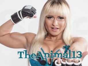 TheAnimal13