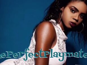 ThePerfectPlaymate