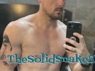 TheSolidSnake23