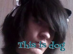 This_is_dog