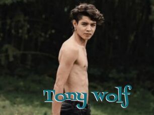 Tony_wolf