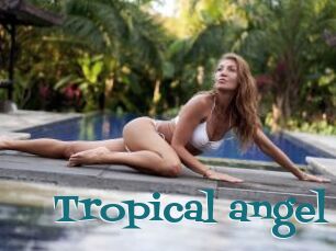 Tropical_angel