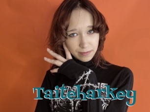 Taiteharkey