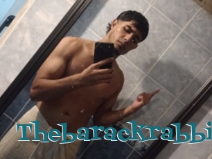 Thebarackrabbit