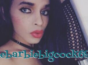 Thebarbiebigcock69