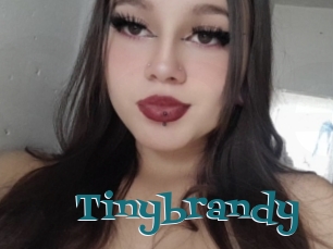 Tinybrandy