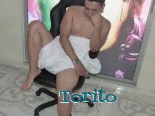 Torito