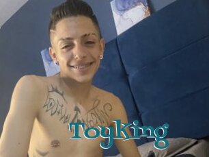 Toyking