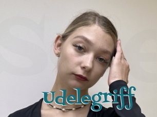 Udelegriff