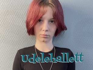 Udelehallett