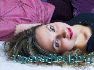Uparadisebird