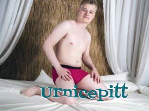 Urnicepitt