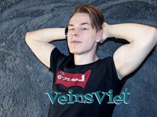 VeinsViet
