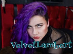 VelvetLambert