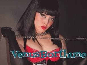 VenusBorthune