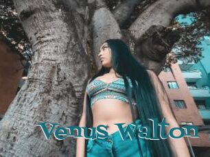Venus_Walton