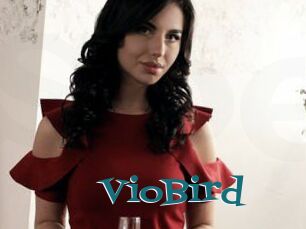 VioBird