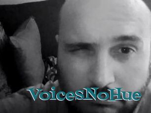 VoicesNoHue