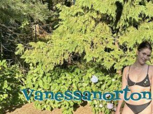 Vanessanorton