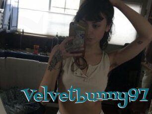 Velvetbunny97