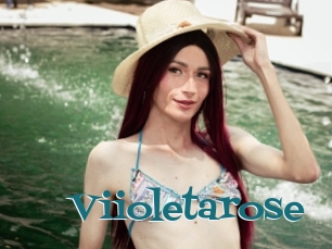 Viioletarose