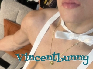 Vincentbunny