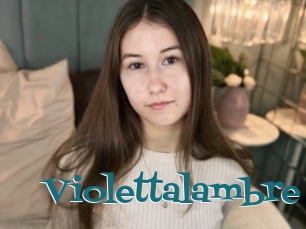 Violettalambre