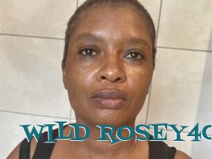 WILD_ROSEY40