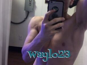 Waylo23