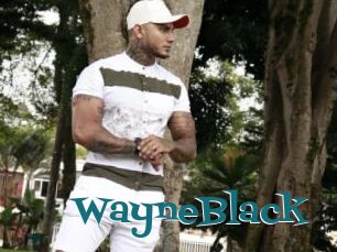 WayneBlack