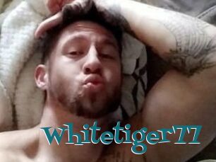 Whitetiger77