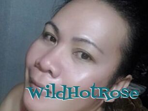 WildHotRose