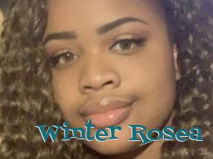 Winter_Rosea