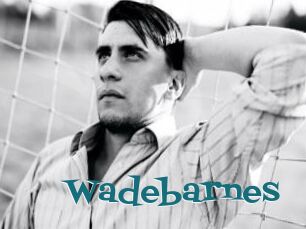 Wadebarnes