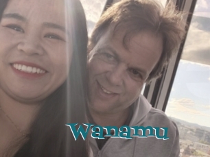 Wanamu