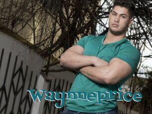 Waynneprice