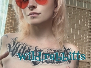 Wild.rabbitts