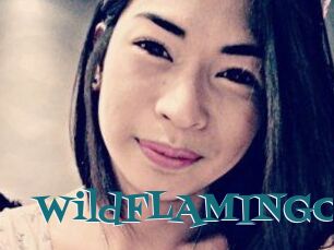WildFLAMINGO