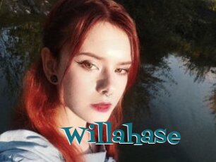 Willahase