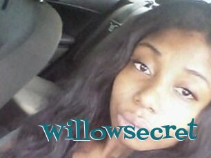 Willow_secret