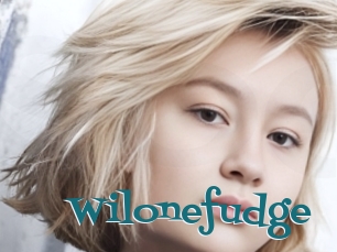 Wilonefudge