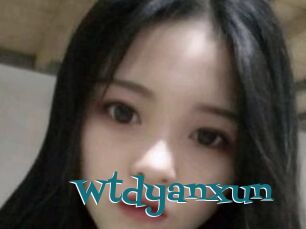 Wtdyanxun